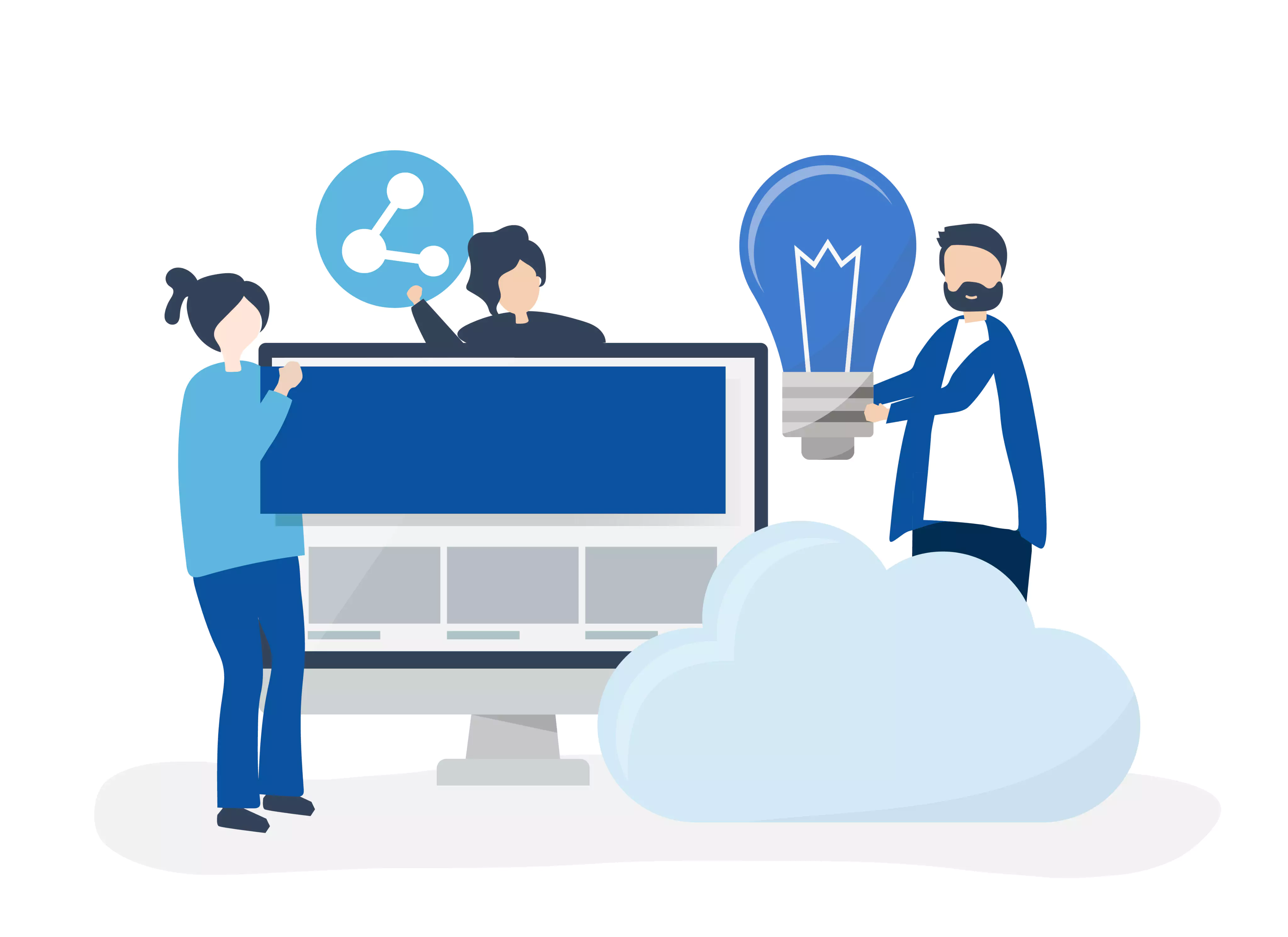 Software Customization